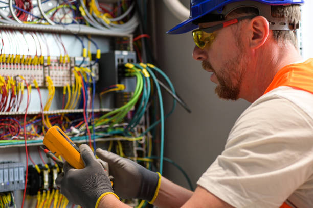 Best Electric Panel Repair  in Chisago City, MN